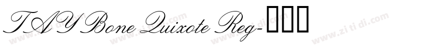 TAY Bone Quixote Reg字体转换